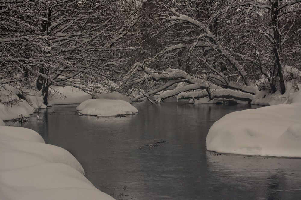 Photograph by Сергей Симаков