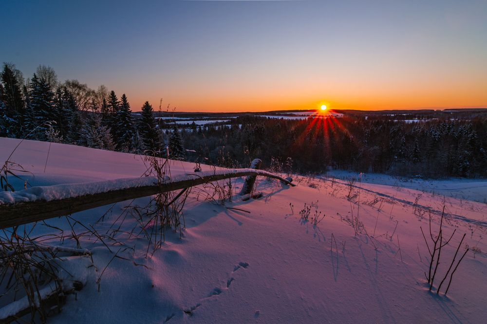 Фотография автора Андрей Набоков