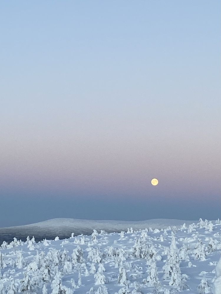 Photograph by Виктория Ярина