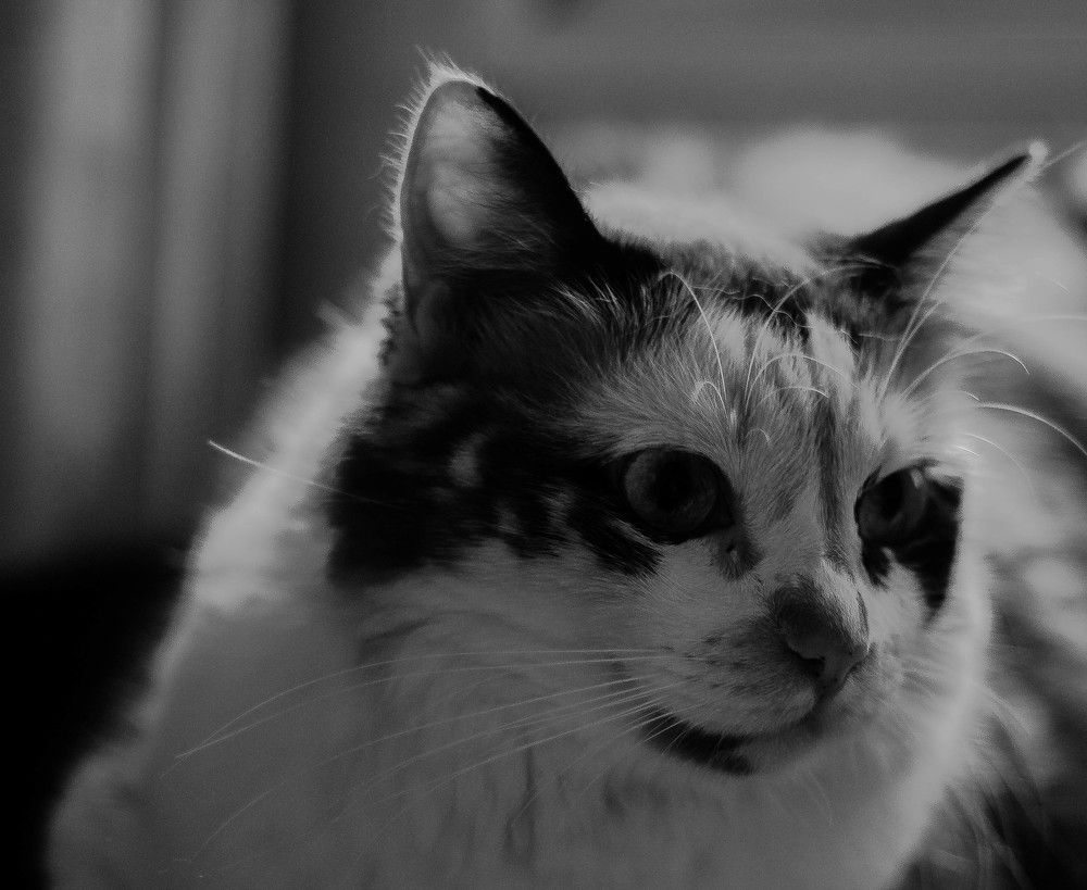 Photograph by Photo Ninenine