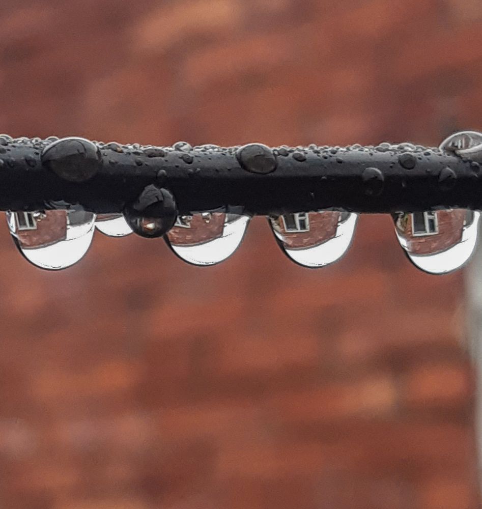 Photograph by Людмила