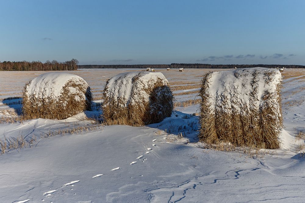 ТРИ БОГАТЫРЯ