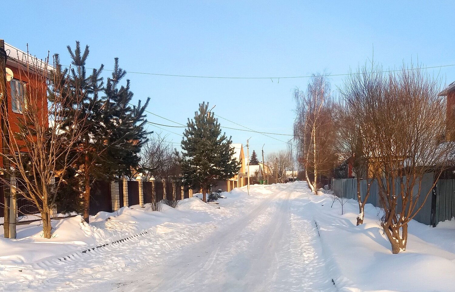 Photo #8615407