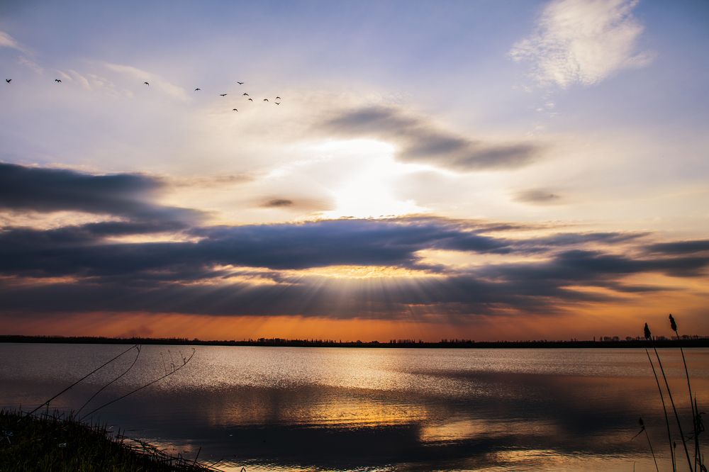 Photograph by Тим Бабурин