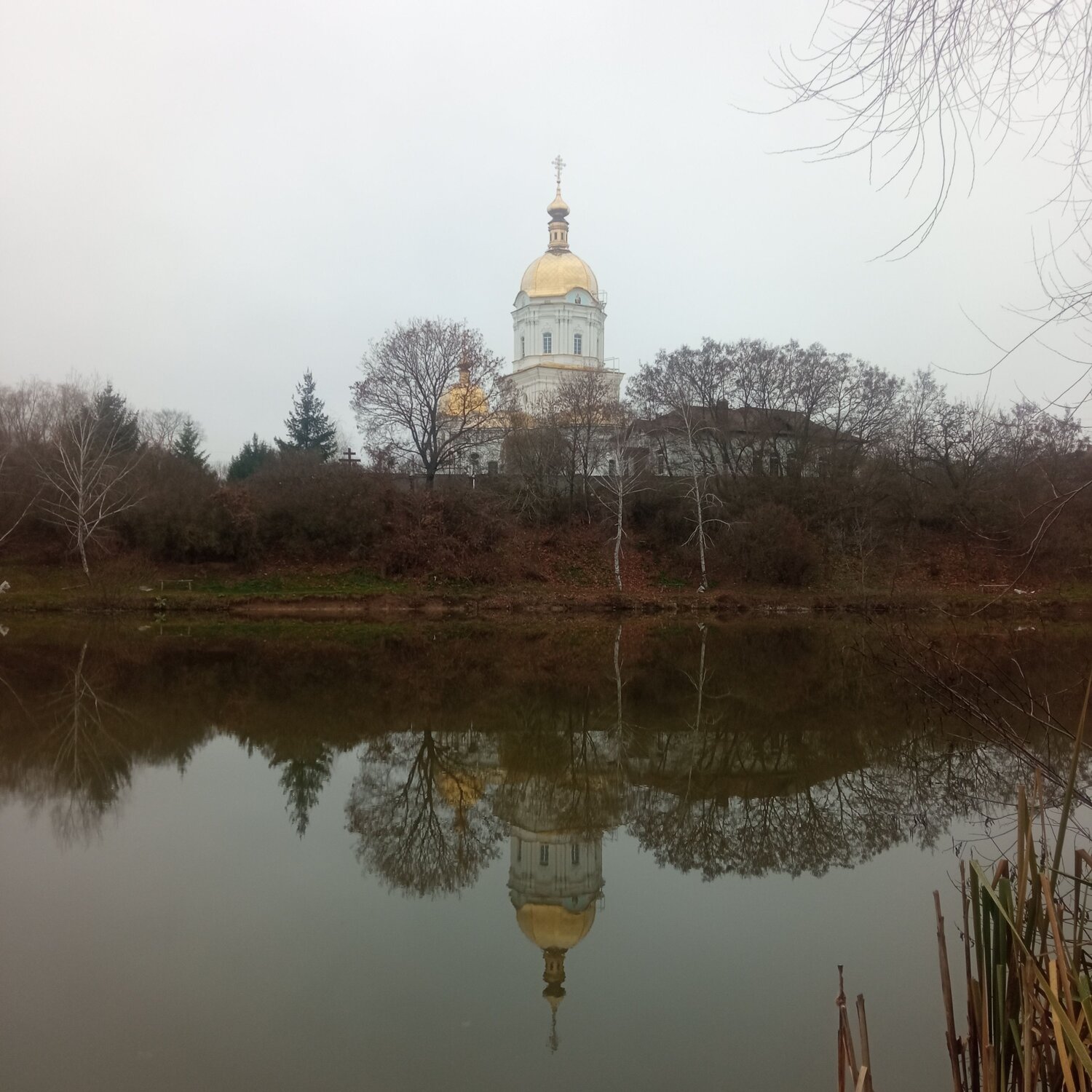 Photo #8615561