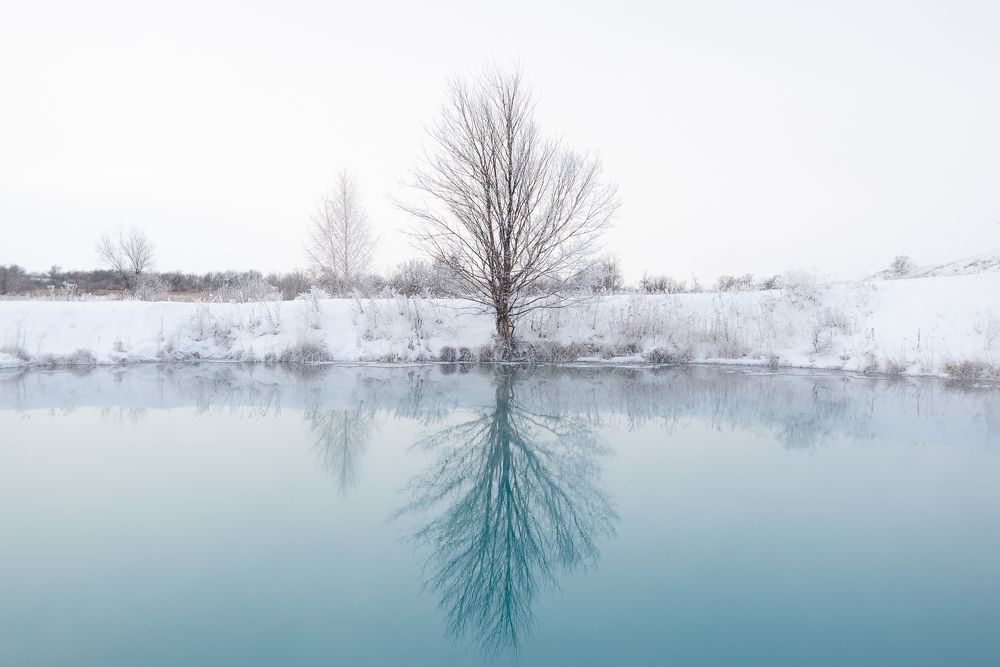 Photograph by Пархимович Евгений