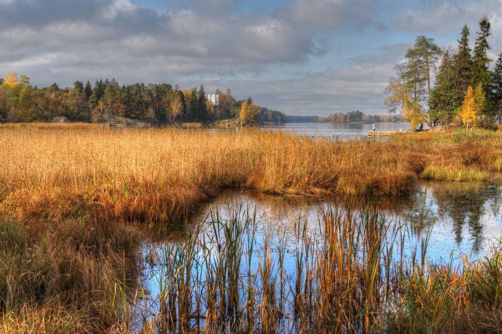 Photograph by Марина Кривицкая