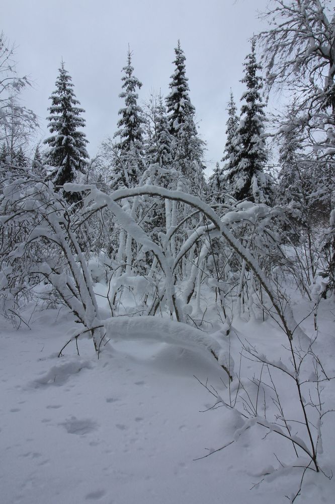 Photograph by Тимофей Петров