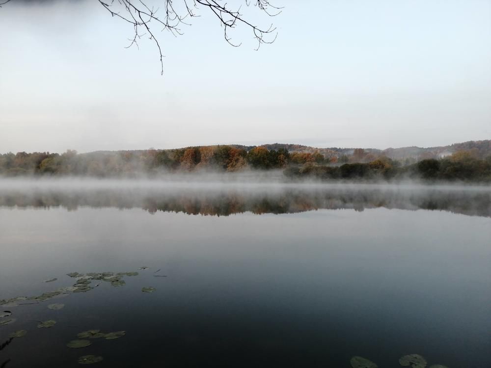 Photograph by Евгений Михайлов