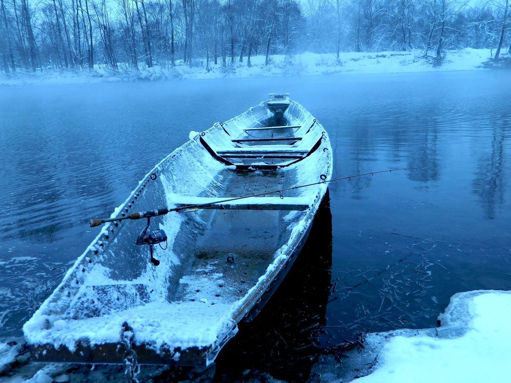 Photo #8615735