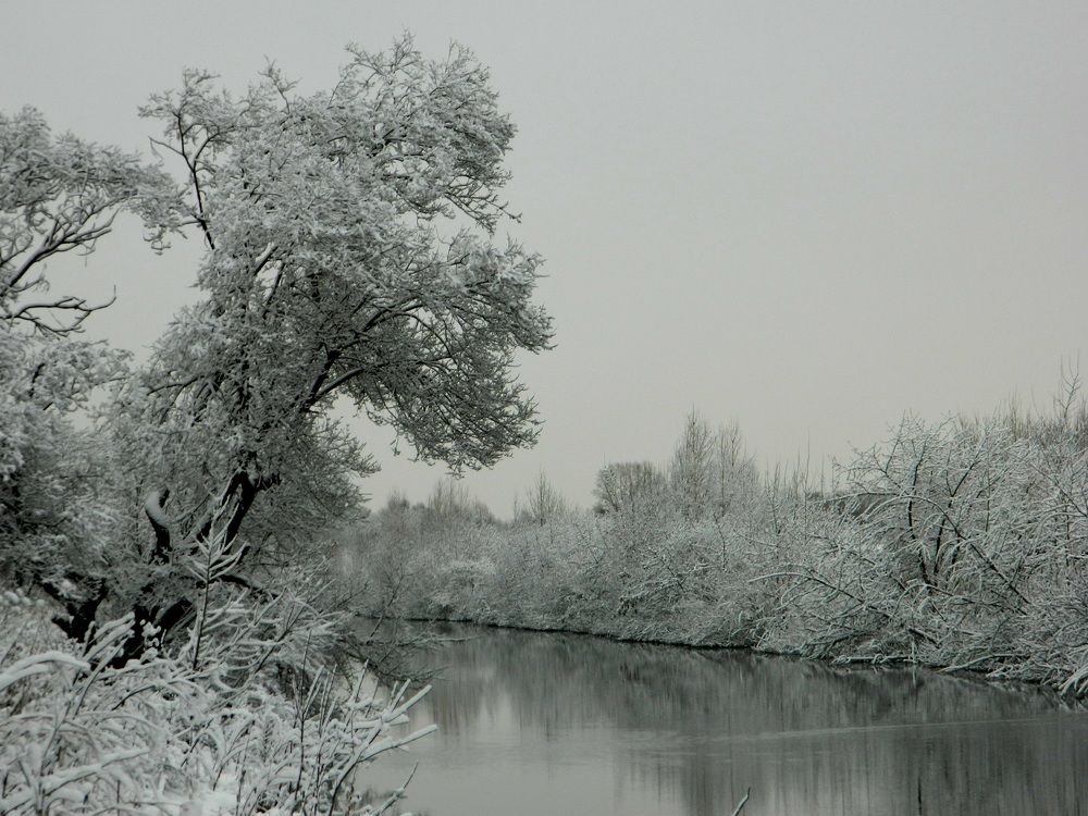 Photograph by Игорь Бебекин
