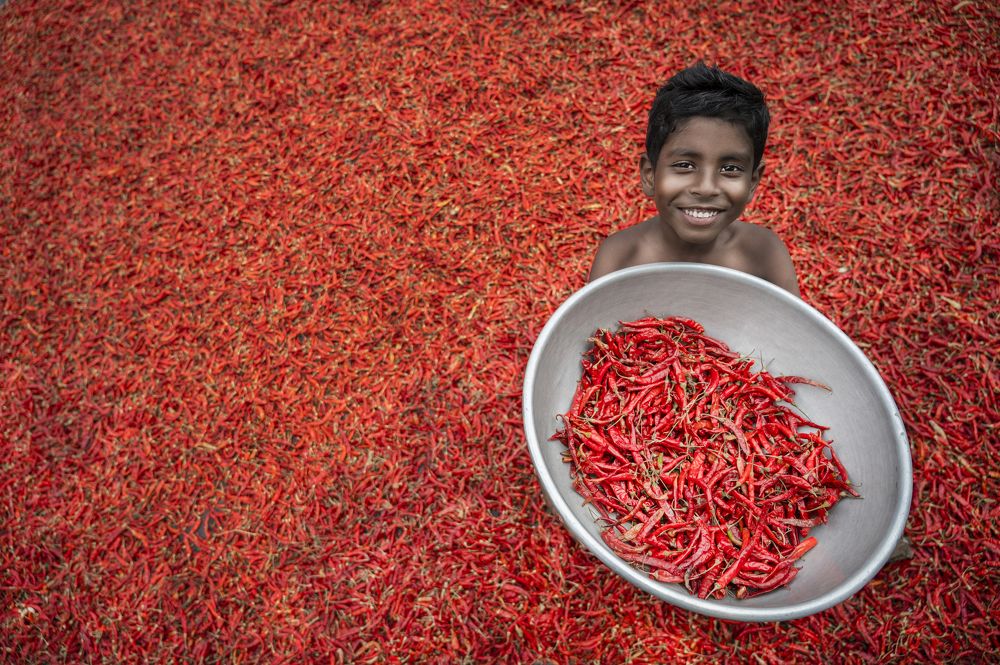 Фотография автора Mainak Dey