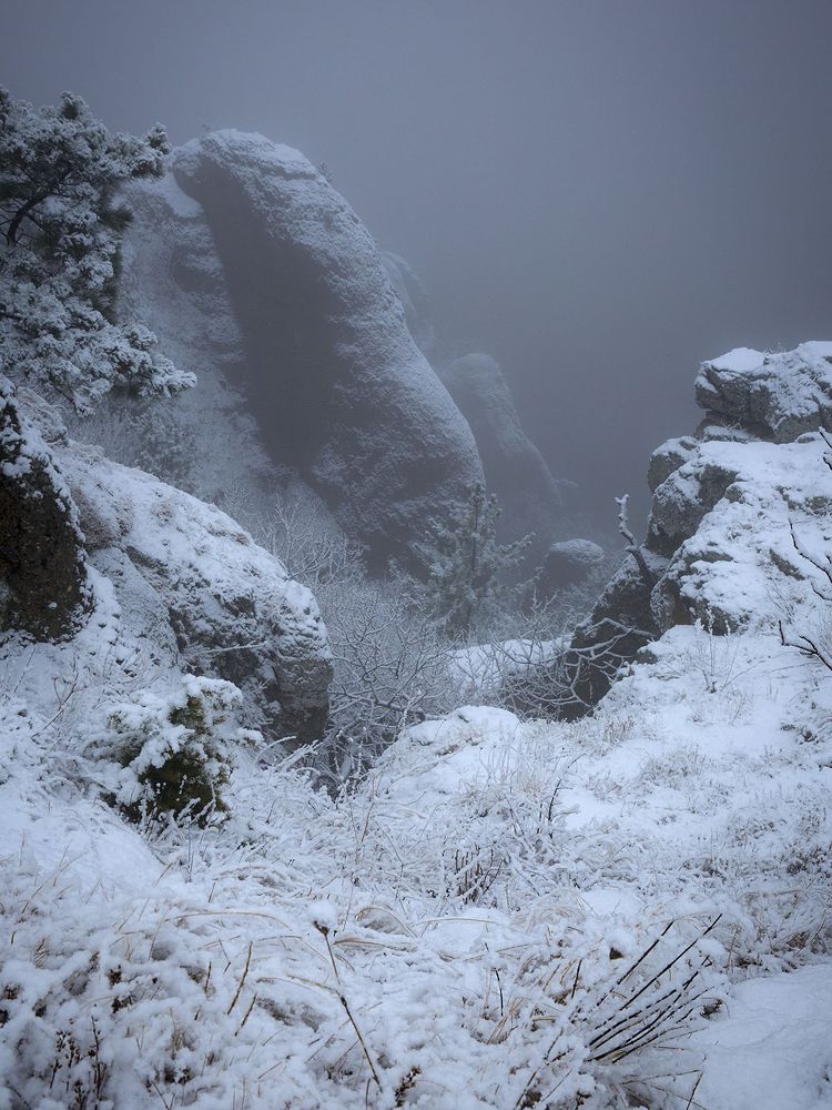 Фотография автора Сергей Шульга