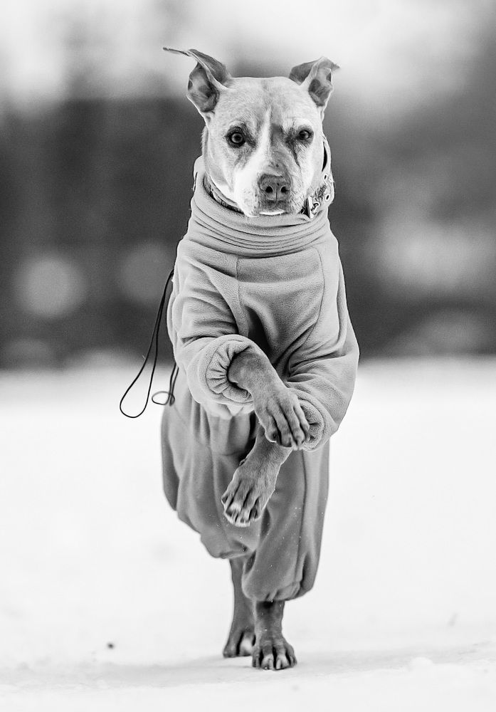 Photograph by Marie Romanova