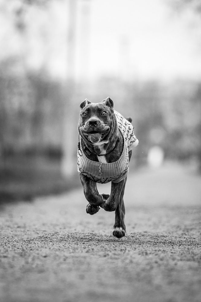 Photograph by Marie Romanova