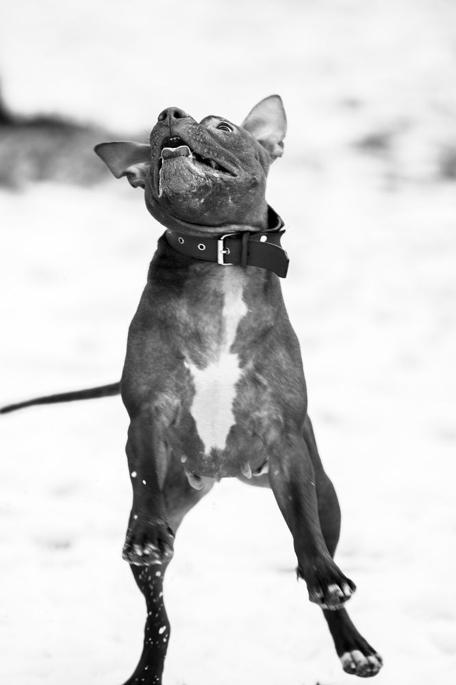 Photograph by Marie Romanova