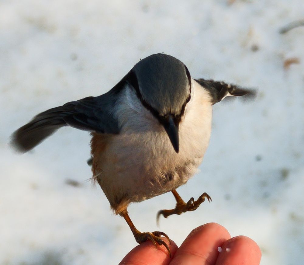 Фотография автора Александр А.