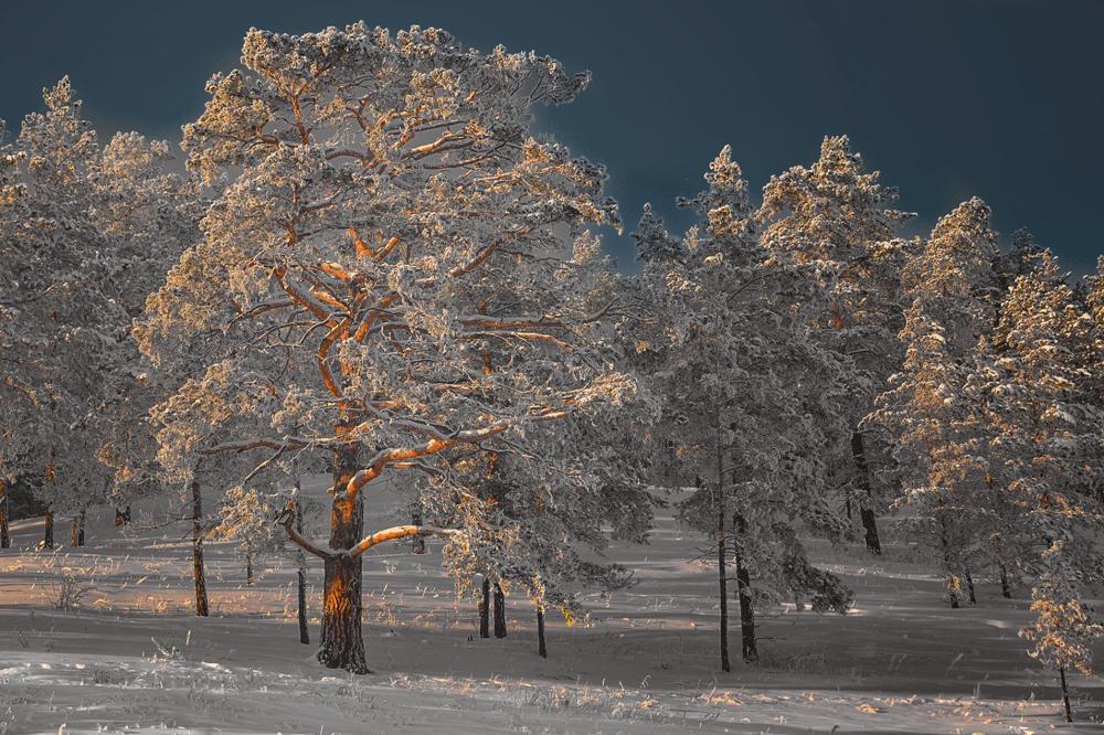 Photograph by Александр Шипиленко