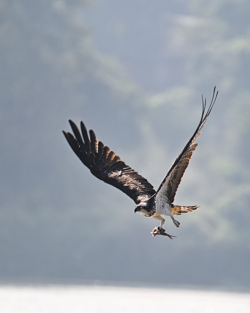 Photograph by SUBHODEEP BHAKTA