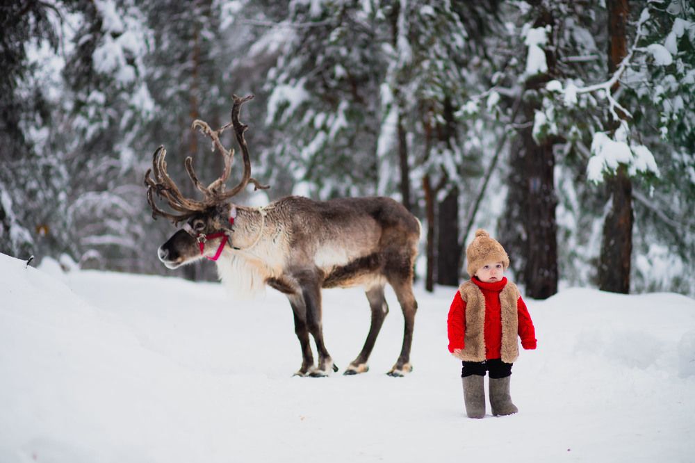 Photograph by Анна Закирова