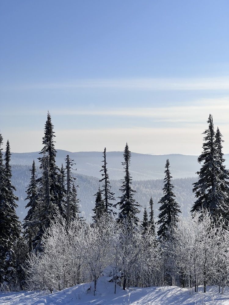 Фотография автора Александр Потапкин