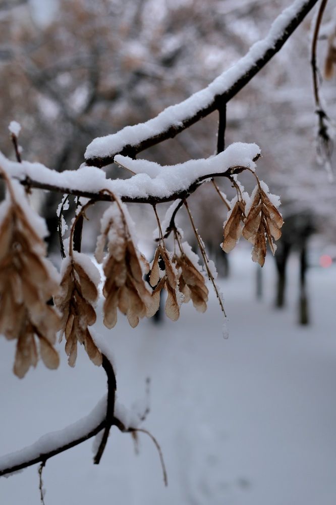 Фотография автора Alexey Morozov