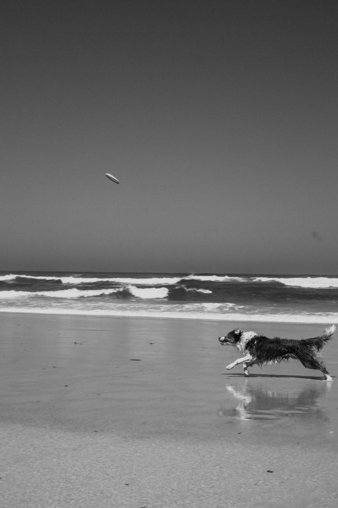 Photograph by Краснюк Анастасия