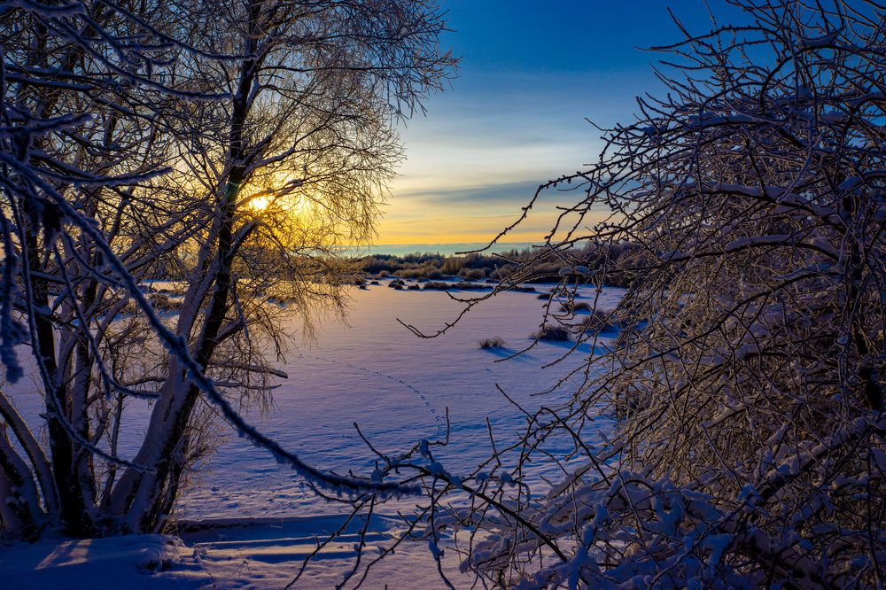 Photograph by Виталий Зубков