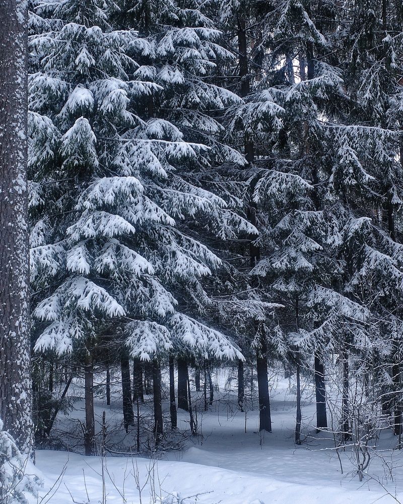 Photograph by Наталья Сафронова