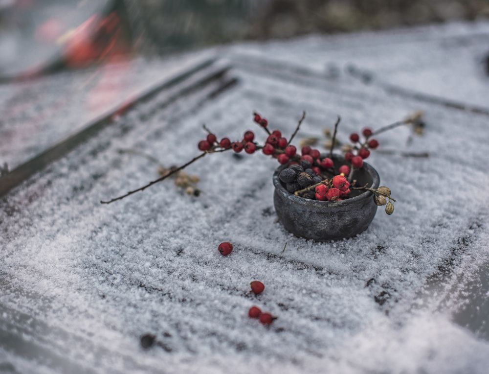 Фотография автора Сигидова Ирина