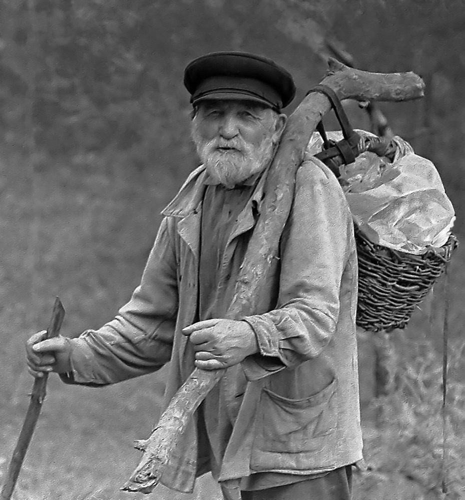 Король среди грибников