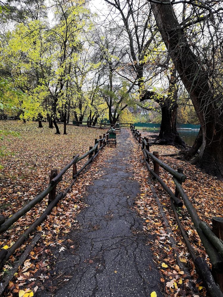 Photograph by Юлия Пацке