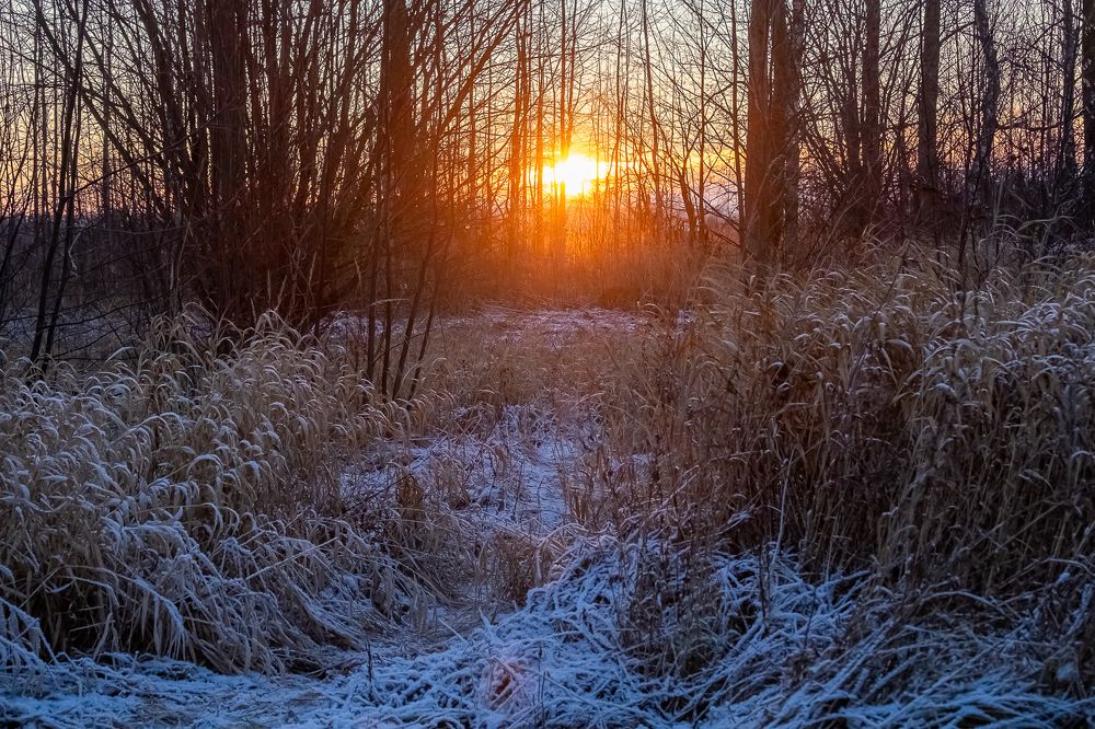 Photograph by Елена Ворошина