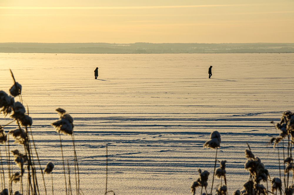 Photograph by Алена