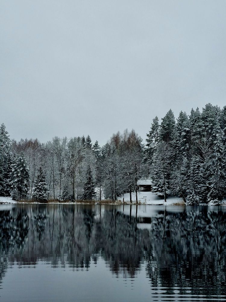 Photograph by Elena Tamošauskaite