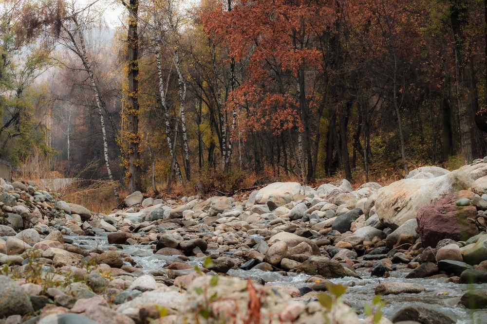 Photograph by Алексей Баженов