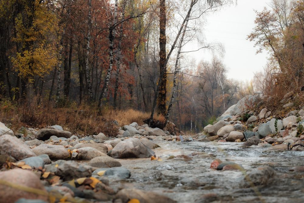 Photograph by Алексей Баженов