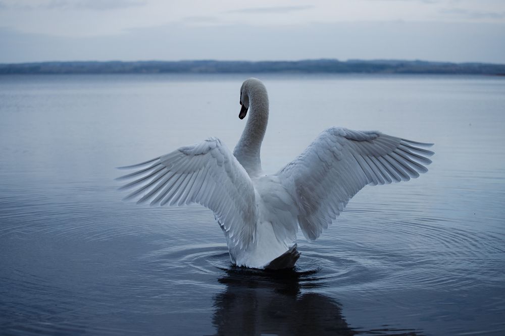 Photograph by Денис Ф