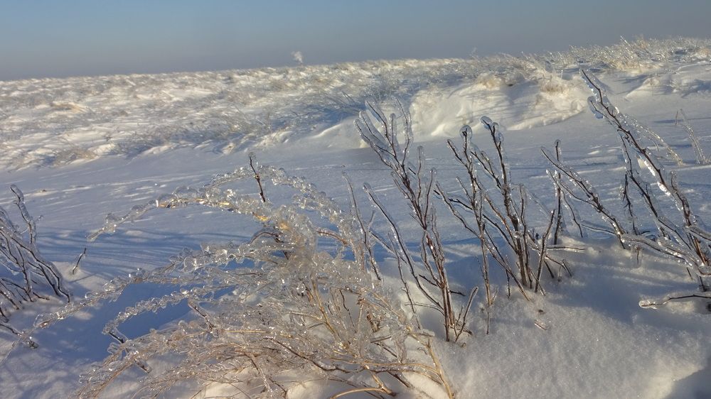 Photograph by Елена Мясникова