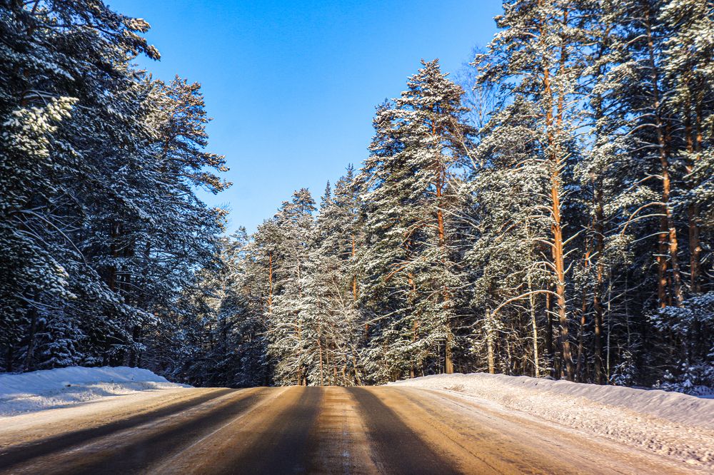 Photograph by Алена