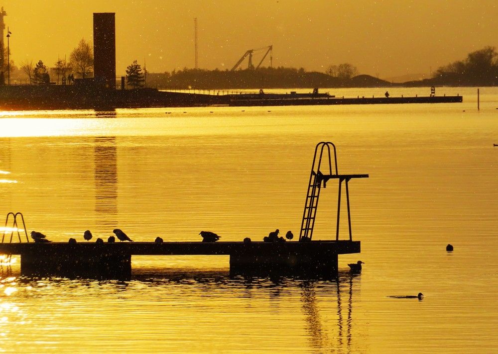 Photograph by Tiia Vissak