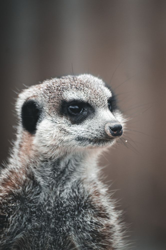 Photograph by Daria Isabella Dziedzic