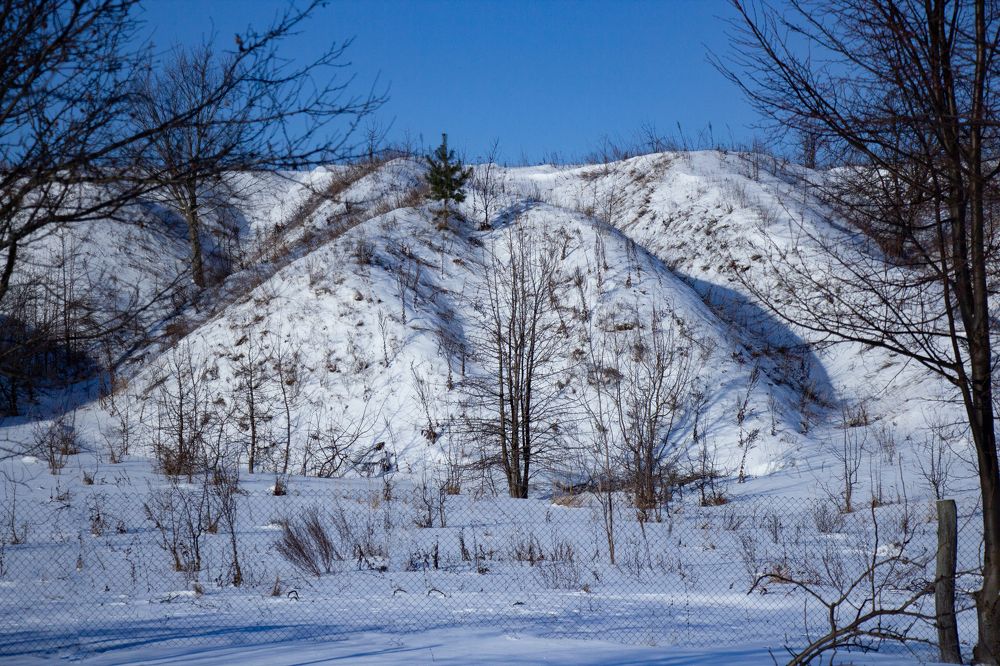 Фотография автора Елена Запертова