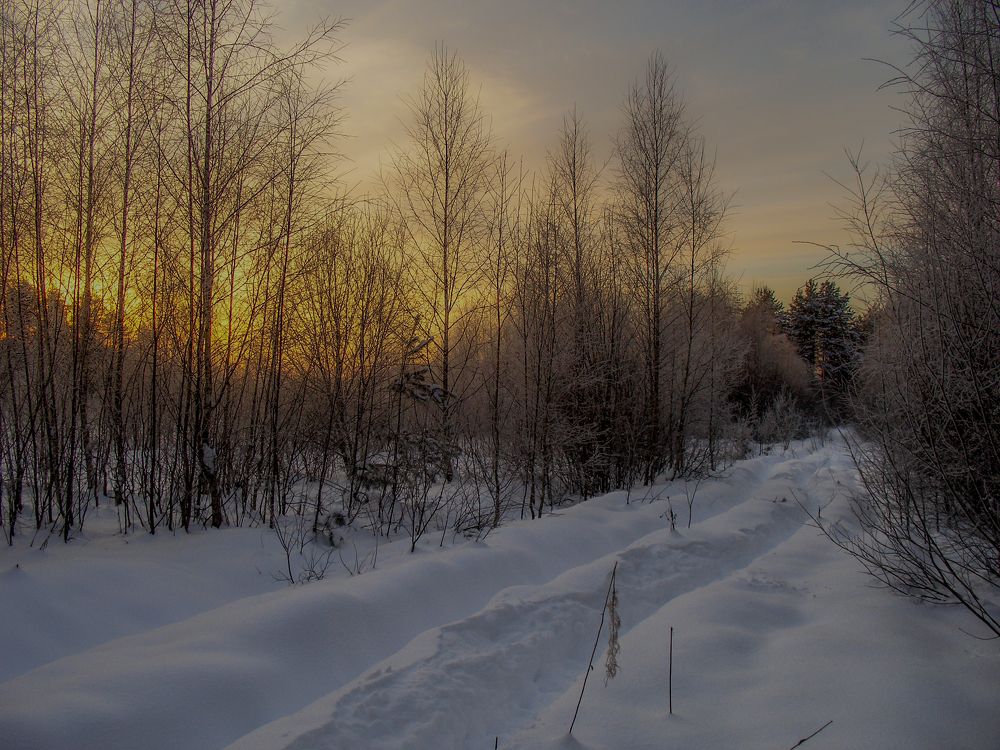 Photograph by Игорь Смирнов