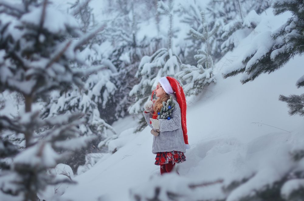 Фотография автора Екатерина Дубовец