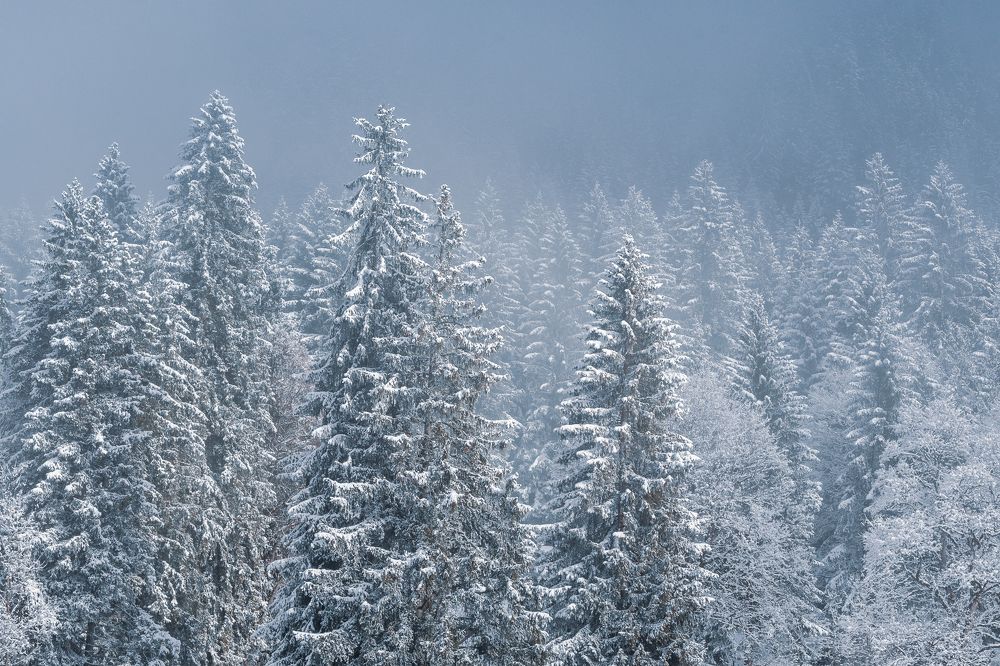 Photograph by Andrei Tomas