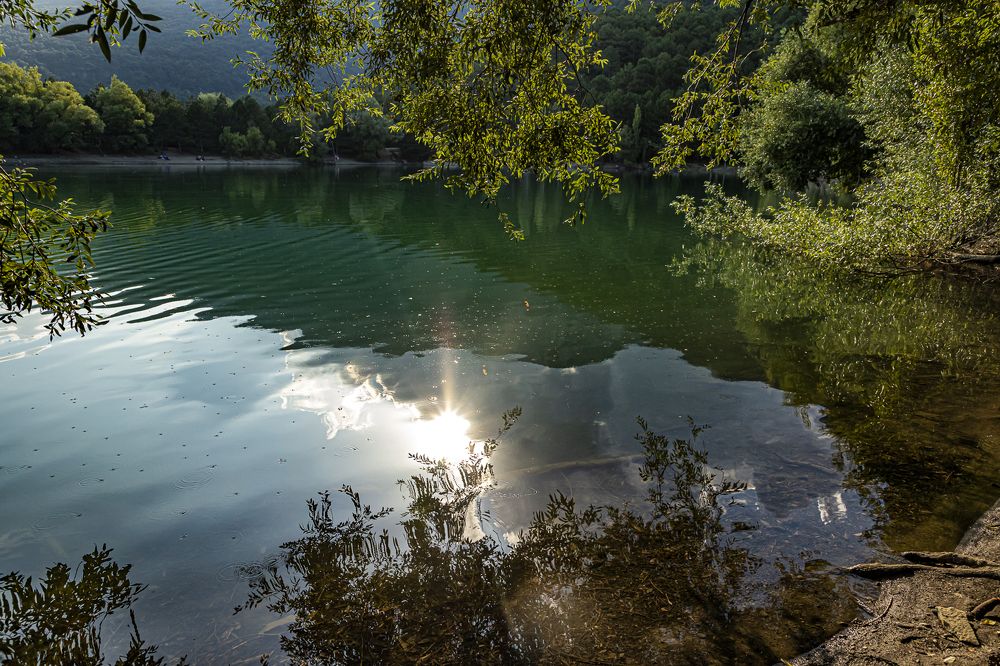 Фотография автора Светлана Котлярова