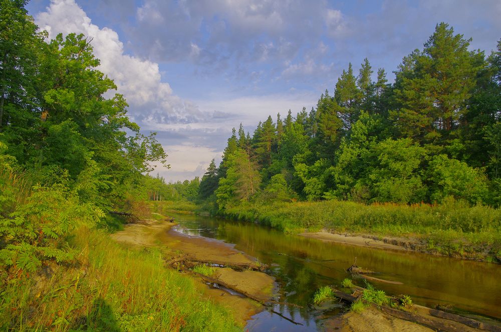 Photograph by Эдуард Шадров