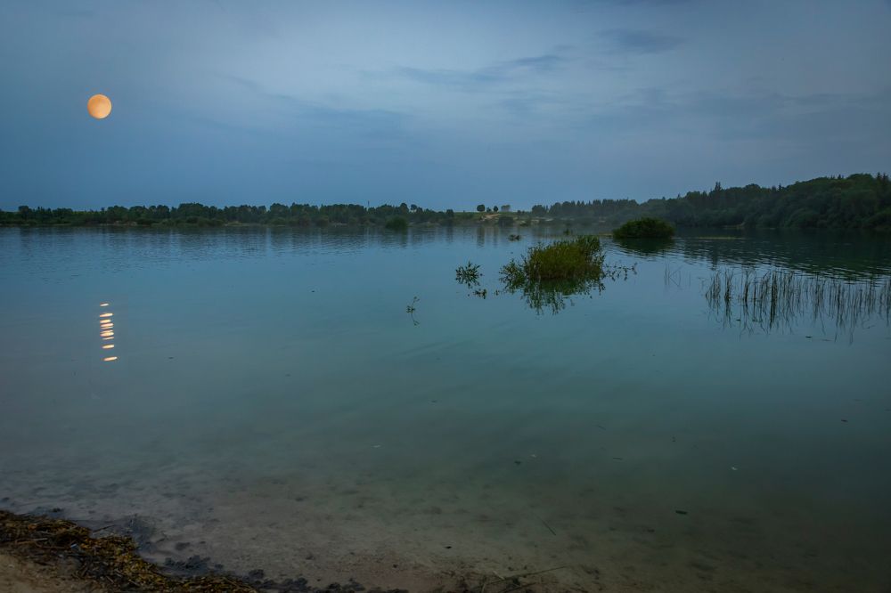 Фотография автора Светлана Котлярова