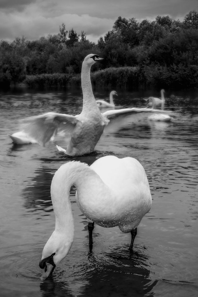 Photograph by Светлана Богомолова